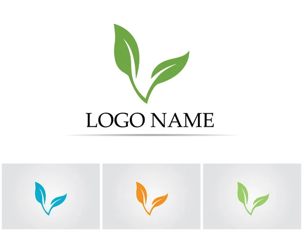 Blad Grön Natur Logotyp Och Symbol Mall Vektor — Stock vektor
