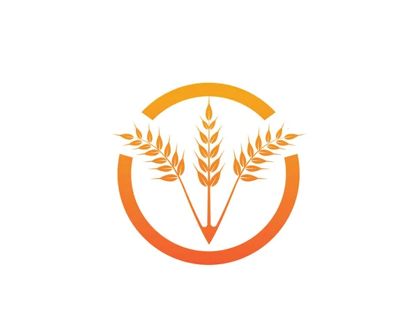 Logo und Symbole für Reismehl — Stockvektor
