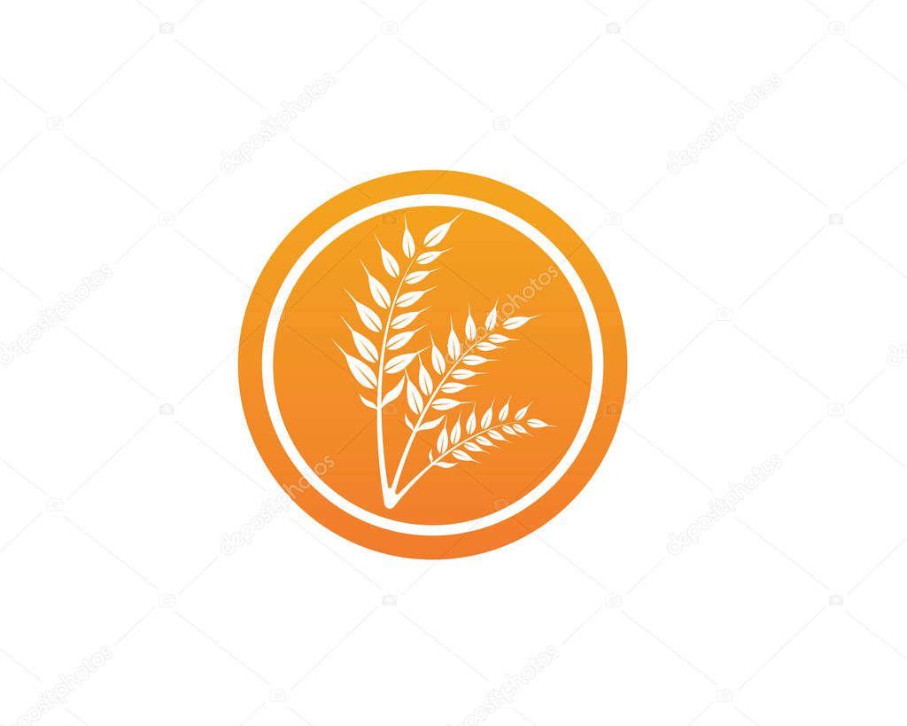 rice food meal logo and symbols