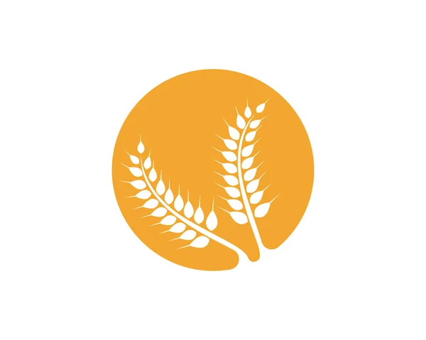 Farine de riz logo et symboles — Image vectorielle