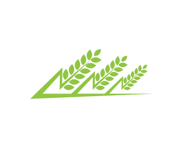 Ρύζι τροφίμων γεύμα λογότυπο και σύμβολα — Διανυσματικό Αρχείο