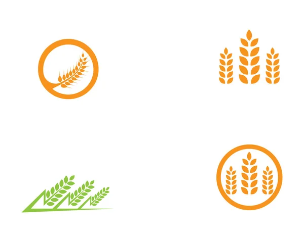 Логотип и символы рисовой еды — стоковый вектор