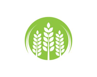 pirinç gıda yemek logo ve sembolleri