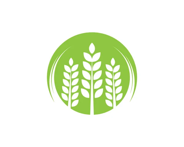米食品食事ロゴとシンボル — ストックベクタ