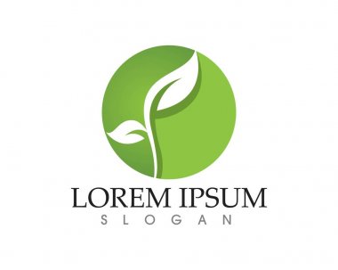 Vektör yaprak yeşil doğa logo ve sembol şablonu