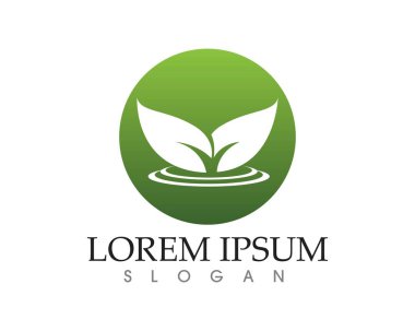 Vektör yaprak yeşil doğa logo ve sembolü