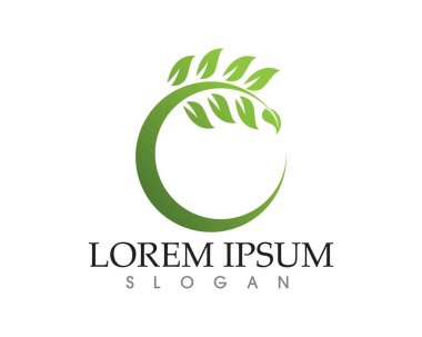 Vektör yaprak yeşil doğa logo ve sembol şablonu