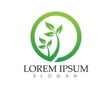 yaprak yeşil doğa logo ve sembol şablon vektör 