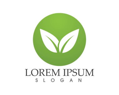 yaprak yeşil doğa logo ve sembol şablon vektör 