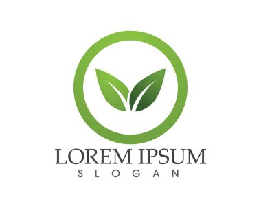 yaprak yeşil doğa logo ve sembol şablon vektör 