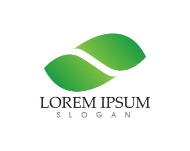 yaprak yeşil doğa logo ve sembol şablon vektör 