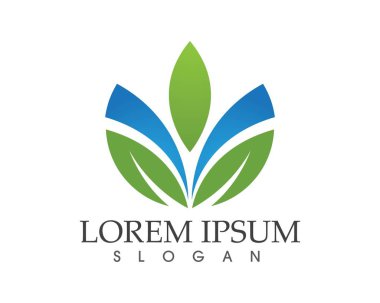 yaprak yeşil doğa logo ve sembol şablon vektör 