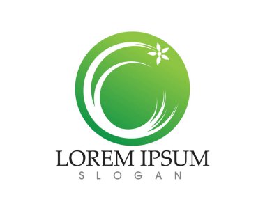 yaprak yeşil doğa logo ve sembol şablon vektör 