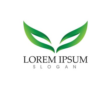 yaprak yeşil doğa logo ve sembol şablon vektör 