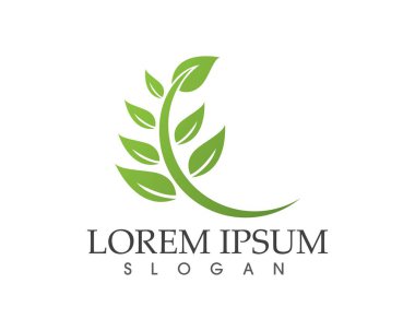 yaprak yeşil doğa logo ve sembol şablon vektör 