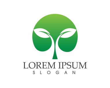 yaprak yeşil doğa logo ve sembol şablon vektör 