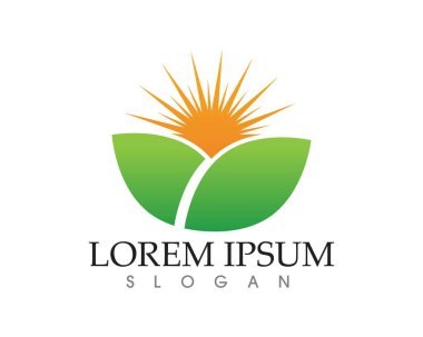 yaprak yeşil doğa logo ve sembol şablon vektör 