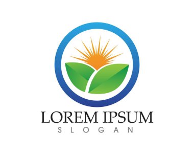 yaprak yeşil doğa logo ve sembol şablon vektör 