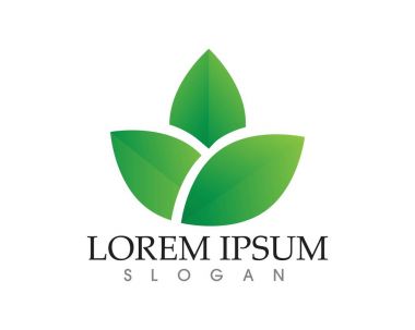 yaprak yeşil doğa logo ve sembol şablon vektör 