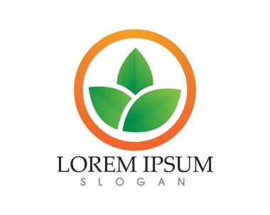 yaprak yeşil doğa logo ve sembol şablon vektör 