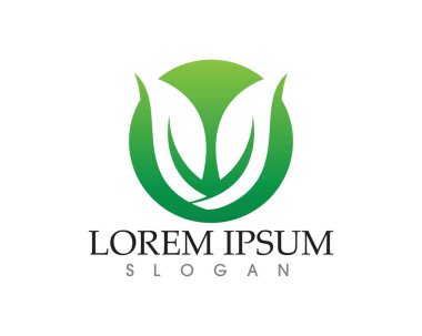 yaprak yeşil doğa logo ve sembol şablon vektör 
