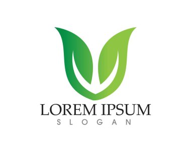 yaprak yeşil doğa logo ve sembol şablon vektör 
