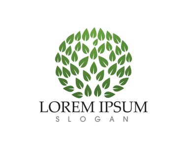 yaprak yeşil doğa logo ve sembol şablon vektör 