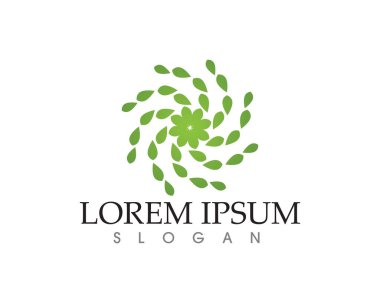yaprak yeşil doğa logo ve sembol şablon vektör 