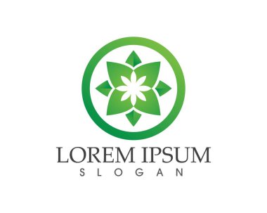 yaprak yeşil doğa logo ve sembol şablon vektör 