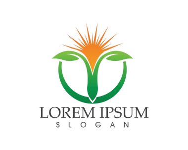 yaprak yeşil doğa logo ve sembol şablon vektör 