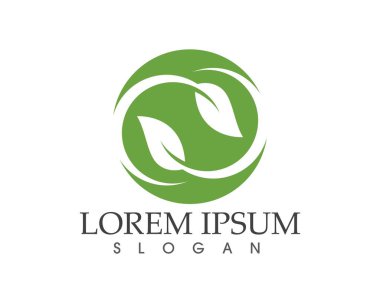 yaprak yeşil doğa logo ve sembol şablon vektör 