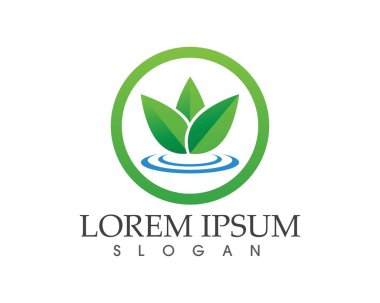 yaprak yeşil doğa logo ve sembol şablon vektör 