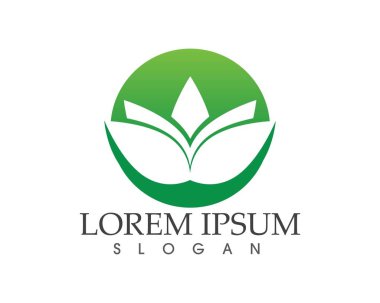 yaprak yeşil doğa logo ve sembol şablon vektör 