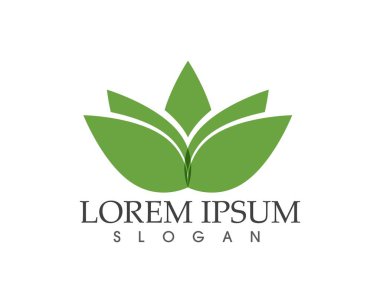 yaprak yeşil doğa logo ve sembol şablon vektör 