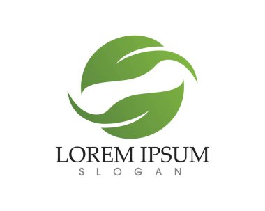 yaprak yeşil doğa logo ve sembol şablon vektör 