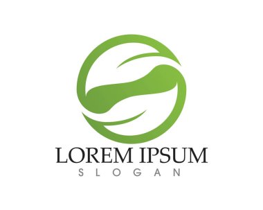 yaprak yeşil doğa logo ve sembol şablon vektör 