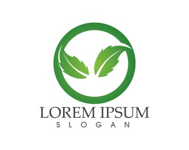 yaprak yeşil doğa logo ve sembol şablon vektör 