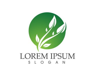 yaprak yeşil doğa logo ve sembol şablon vektör 