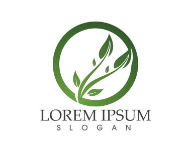 yaprak yeşil doğa logo ve sembol şablon vektör 