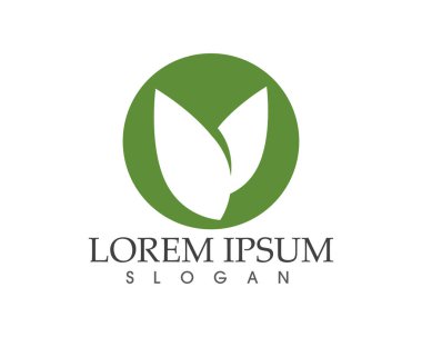 yaprak yeşil doğa logo ve sembol şablon vektör 