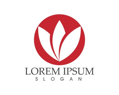 yaprak yeşil doğa logo ve sembol şablon vektör 
