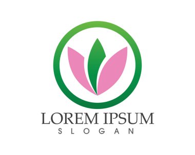 yaprak yeşil doğa logo ve sembol şablon vektör 