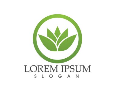 Vektör - Lotus çiçek işareti sağlık, Spa ve Yoga için. Vektör Il