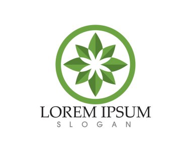 yaprak yeşil doğa logo ve sembol şablon vektör 