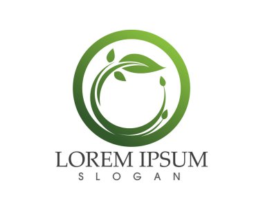 yaprak yeşil doğa logo ve sembol şablon vektör 