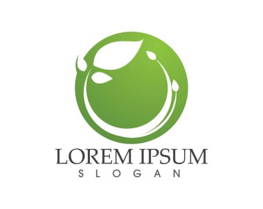 yaprak yeşil doğa logo ve sembol şablon vektör 