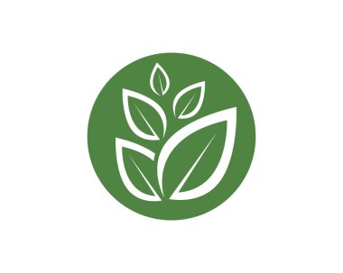 yaprak yeşil doğa logo ve sembol şablon vektör 