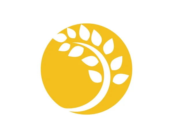 Rizs élelmiszer-étkezés logó és szimbólumok sablon ikonok — Stock Vector