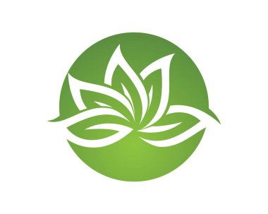 yaprak yeşil doğa logo ve sembol şablon vektör 