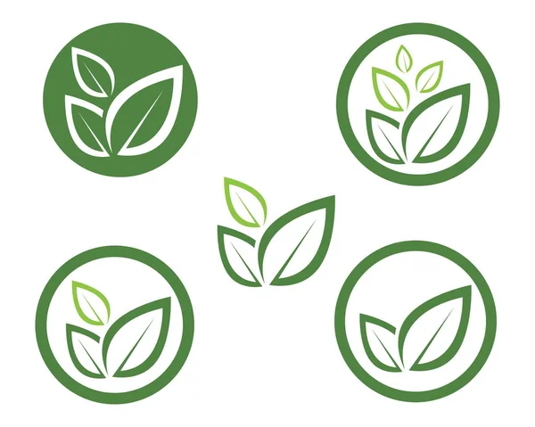 Hoja verde naturaleza logotipo y símbolo plantilla Vector — Vector de stock